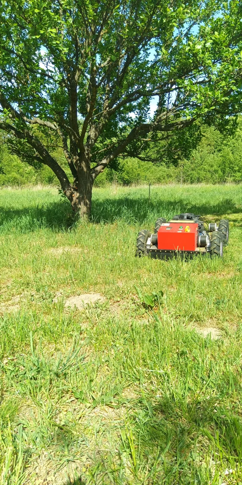 Červená kosačka kosí vysokú jarnú trávu v sade pod slivkou